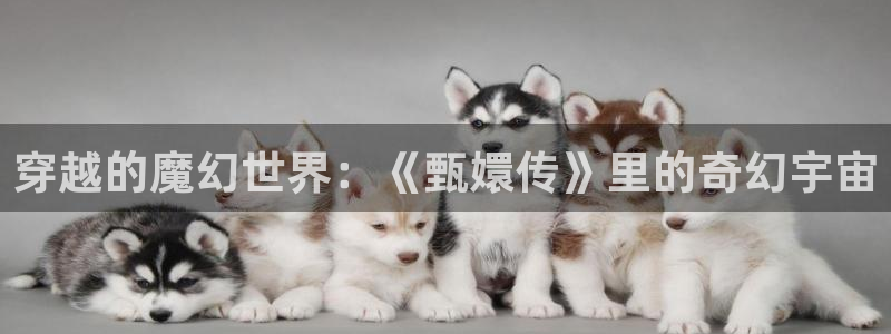 神马达达兔影视