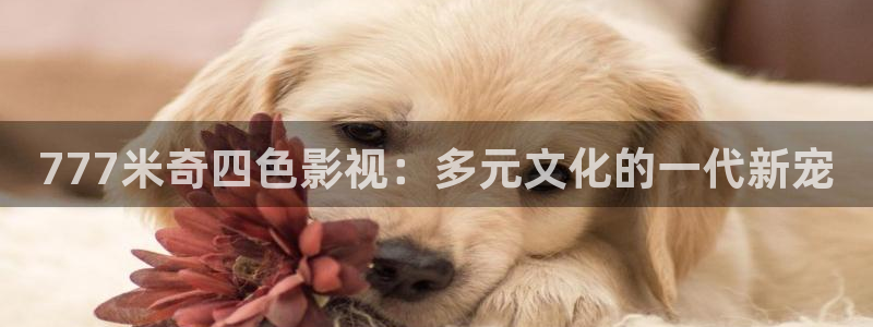 达达兔电影网最新电视剧在线观看
