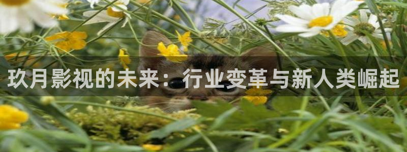 达达兔dada tu神马电影