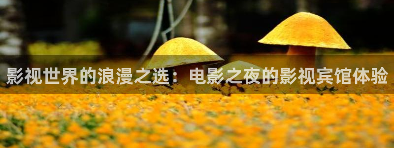 达达兔影院免费在线观看