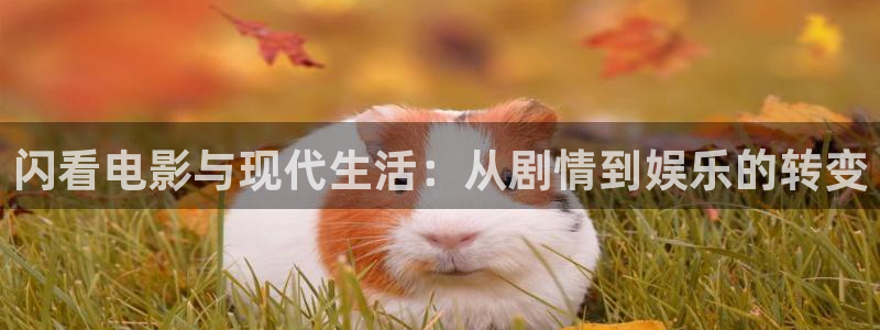 神马电影dy888达达兔