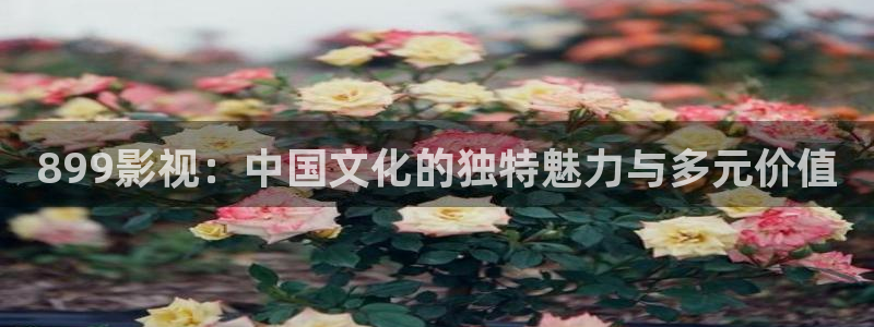 达达兔影院旧版入口